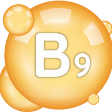 Symbol vitamínu B9