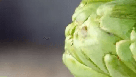 Ilustrační fotografie může v posteli